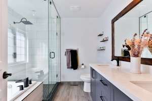 Bathroom Cleaning