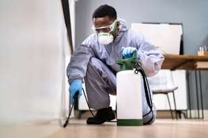 Pest Control